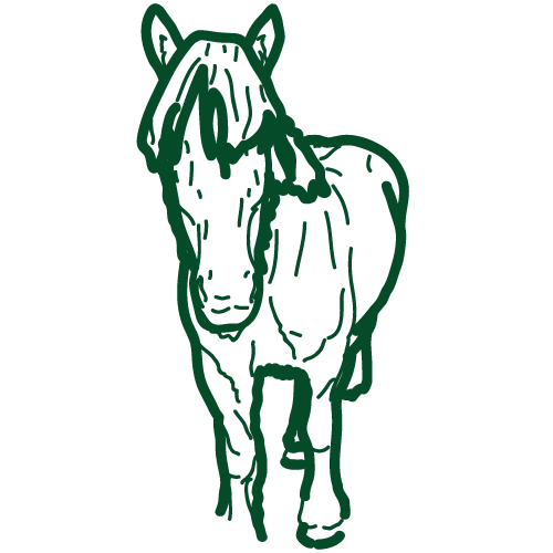 cheval